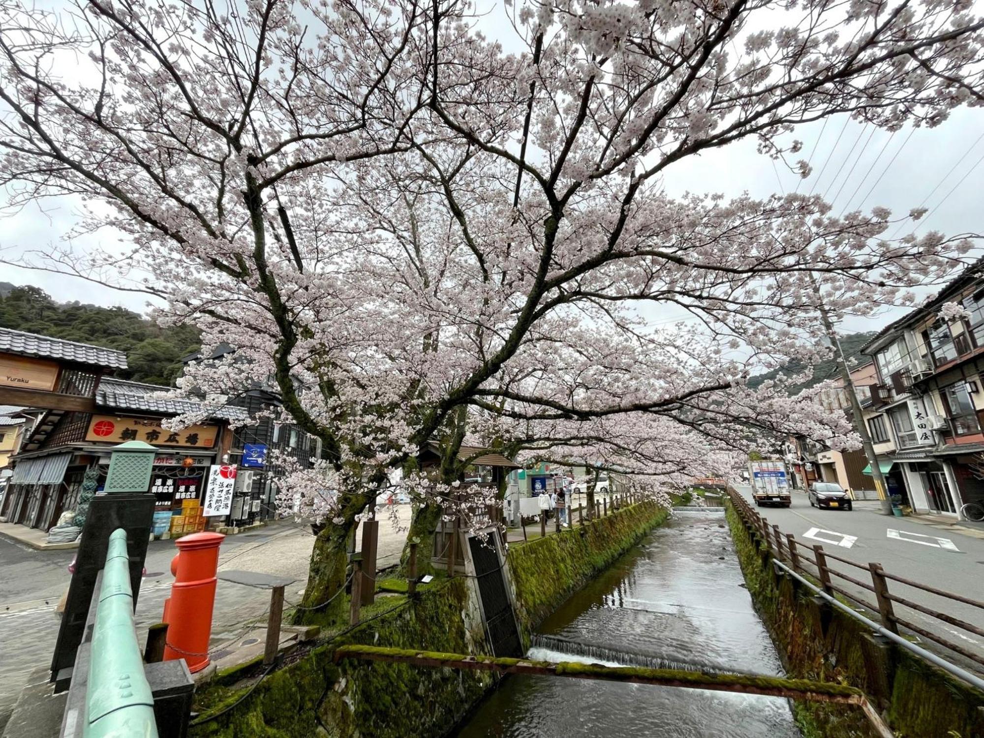 Ryokan Yadokari - Vacation Stay 28940V Toyooka  Zewnętrze zdjęcie
